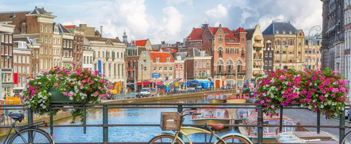 Bright Celebrations in Amsterdam, The Netherlands