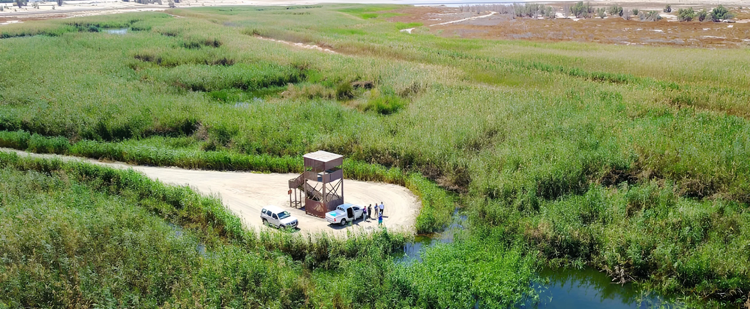 Al Jahra Natural Reserve is a bonus location