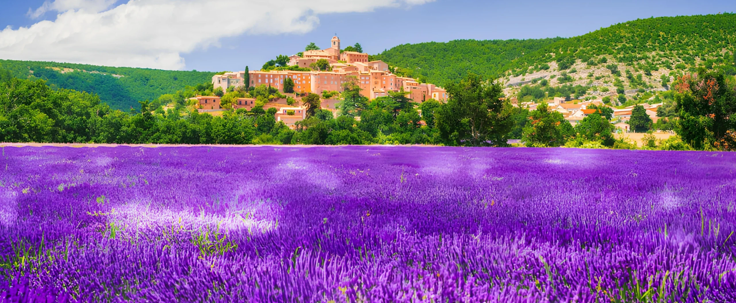 Experience the Beauty of Provence 