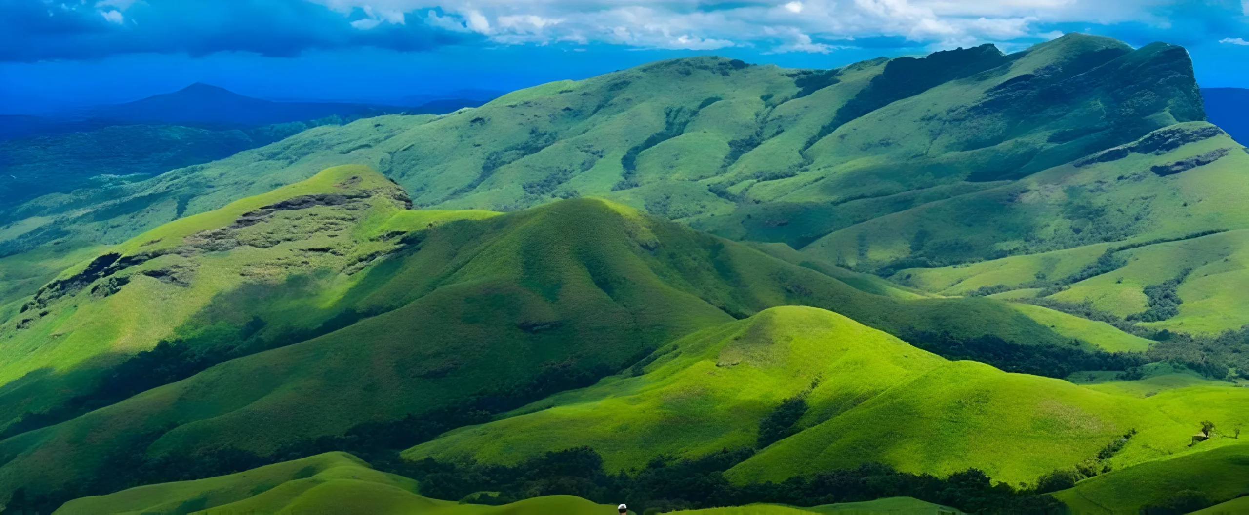 Karnatakas Kudremukh