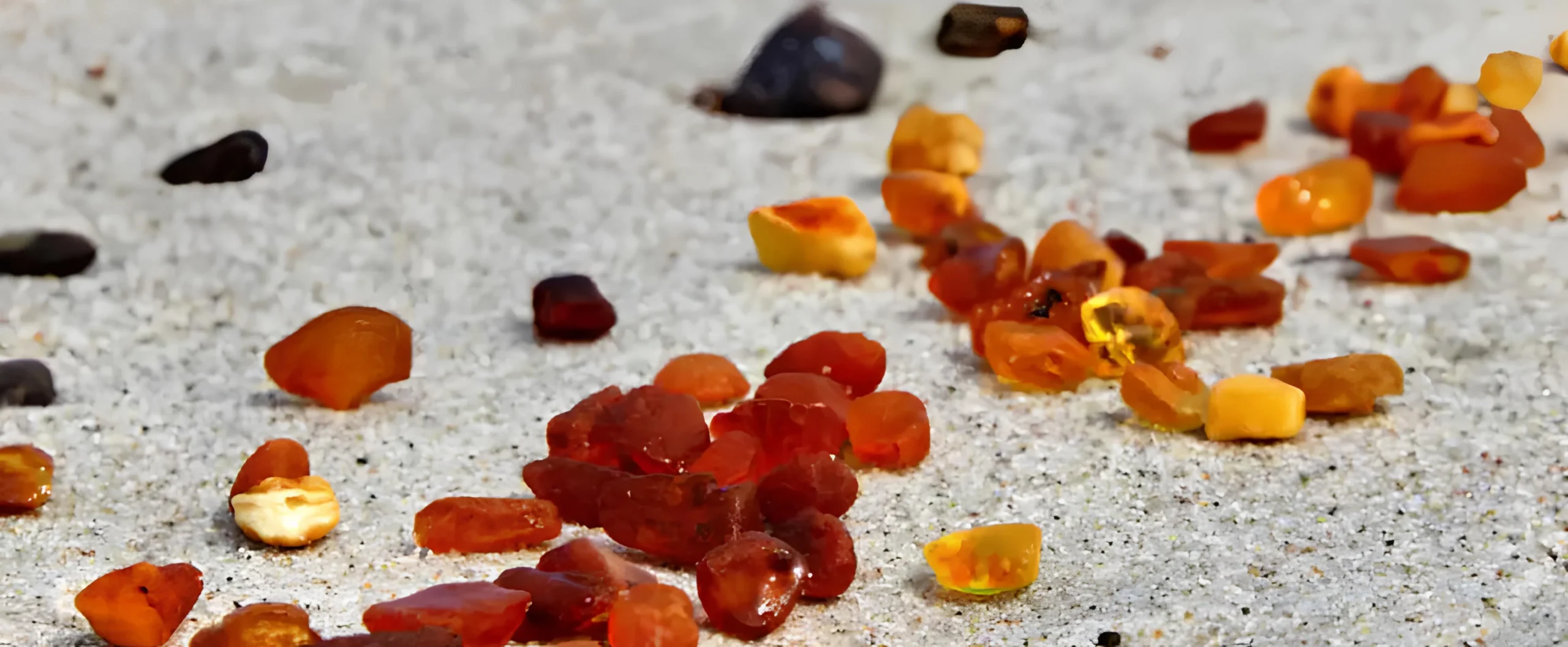 Unique Amber Treasures