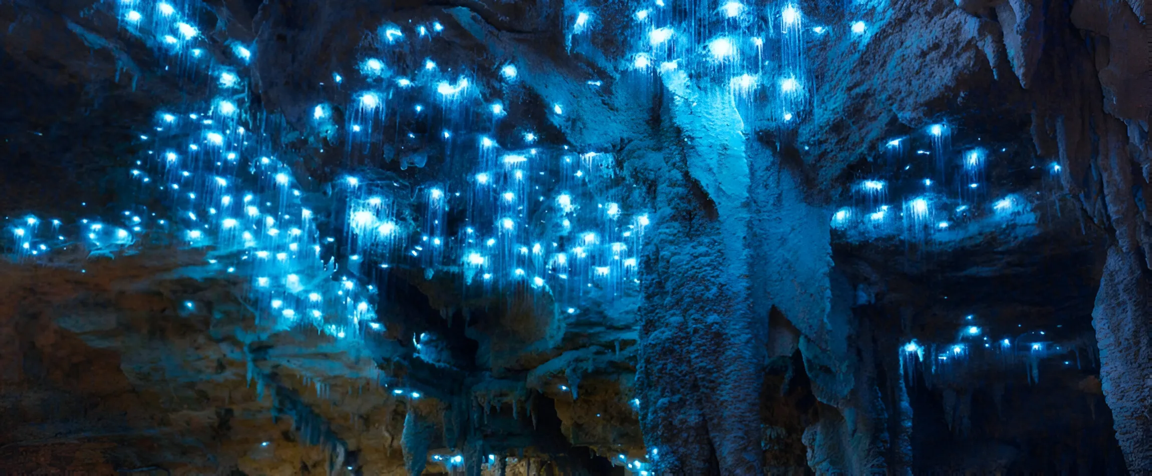 Waitomo Glowworm Caves 