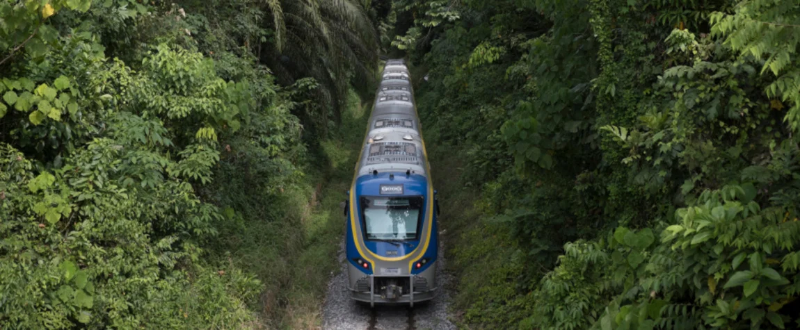 Jungle Railway Adventure