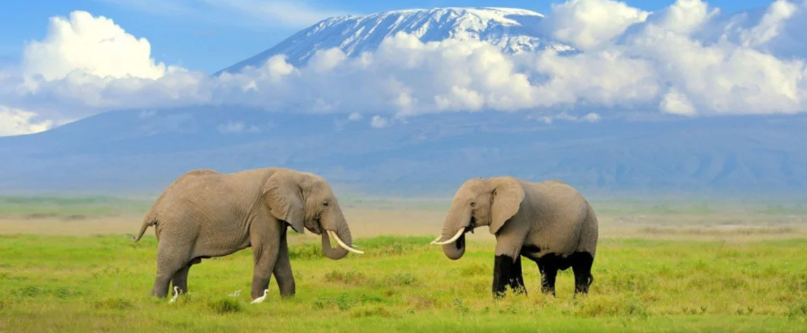 The Top 7 Attractions for Visitors in Kenya