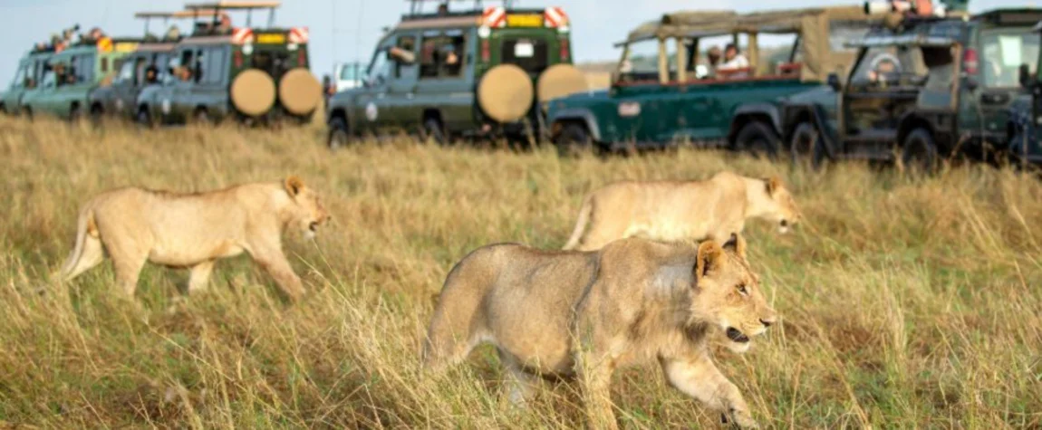 Maasai Mara National Reserve