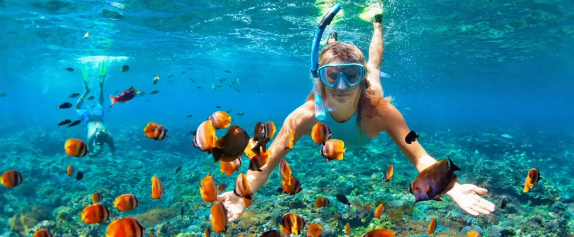 Snorkeling and Diving In the Maldives