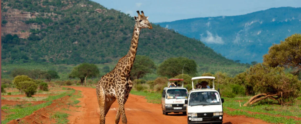 Tsavo National Parks (Tsavo East and Tsavo West)