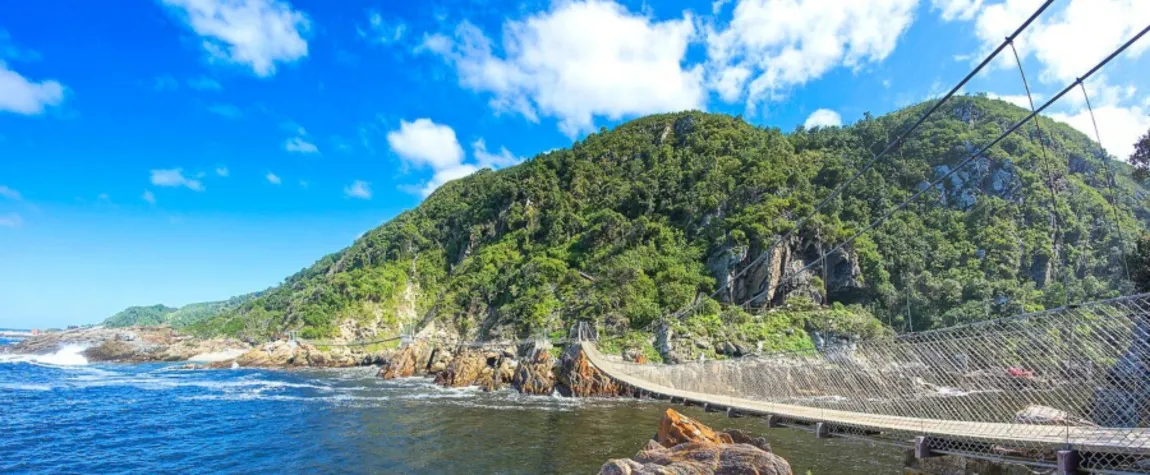 Tsitsikamma to Storms River Mouth Adventure on the Garden Route