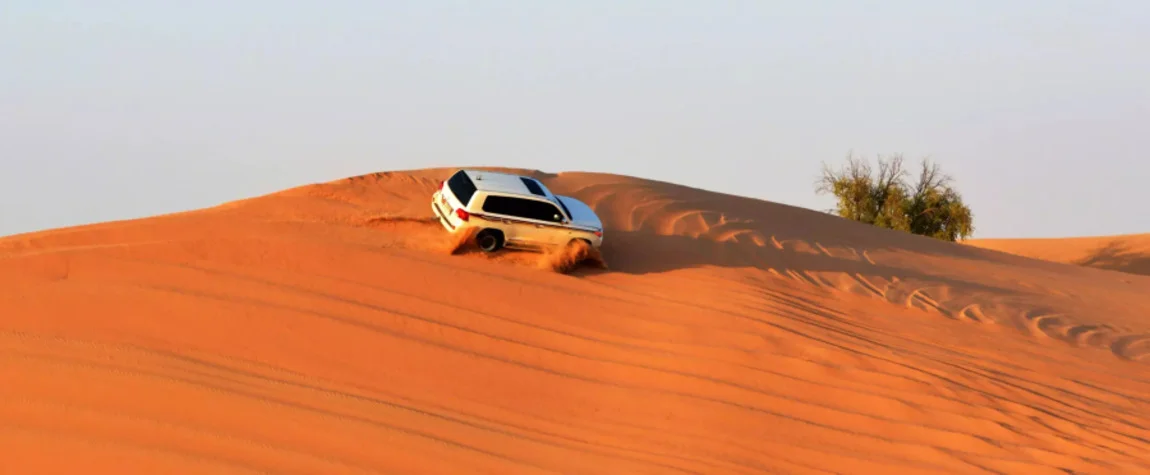 Desert Safari - Thrills in the Dunes
