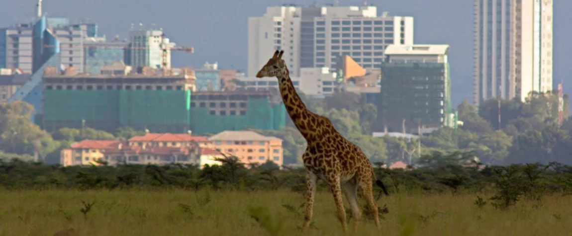 Places to visit in Kenya