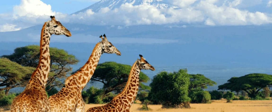 Places to visit in Kenya