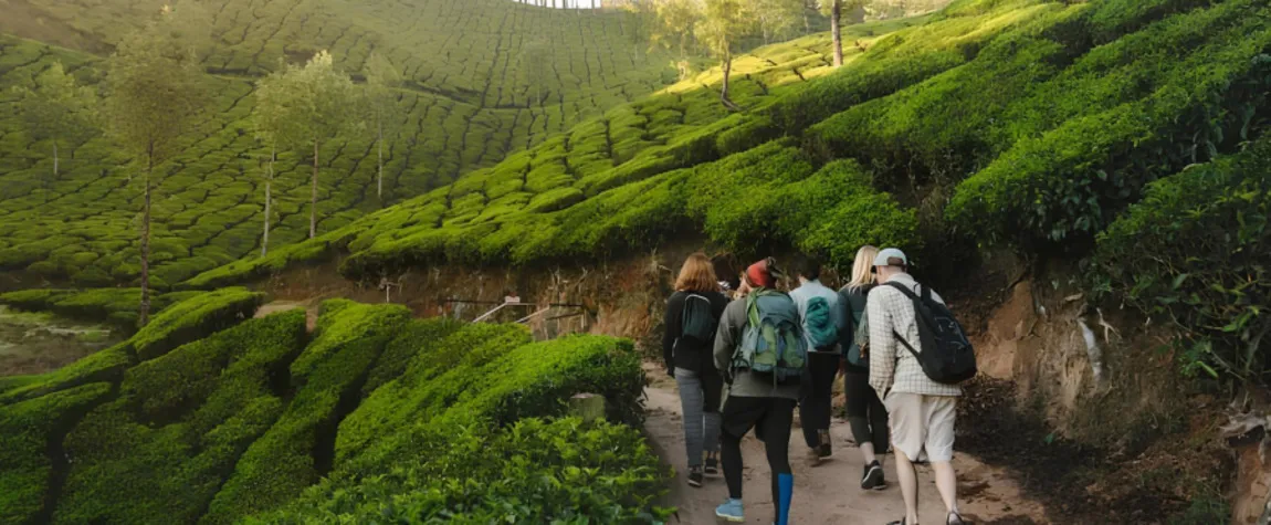 Trekking in the Western Ghats