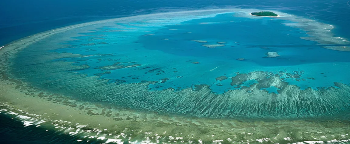 The Great Barrier Reef is the largest eco-system in the world