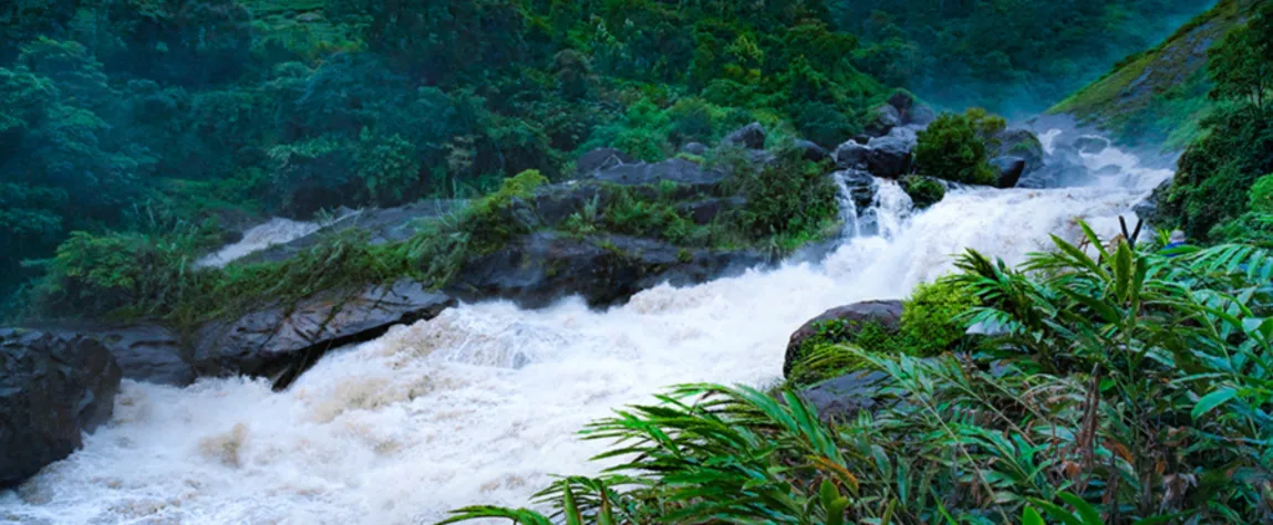 Attukal Waterfalls Hike