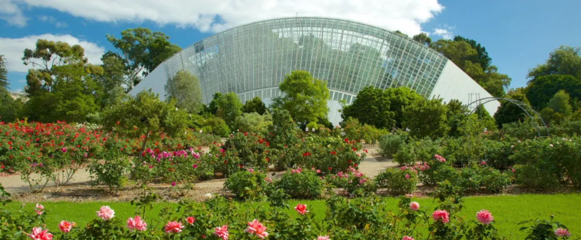 Adelaide Botanic Garden, SA - beautiful gardens in Australia