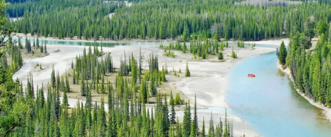 Birch River Wildland Provincial Park, Alberta