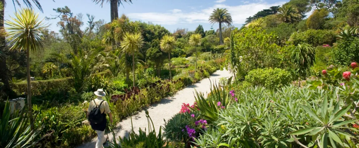 Tresco Abbey Gardens, Isle of Scilly - Beautiful Gardens to Visit