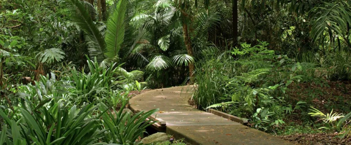 Australian National Botanic Gardens, ACT - beautiful gardens in Australia