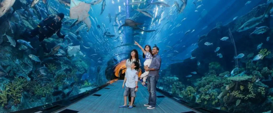 Dubai Aquarium & Underwater Zoo