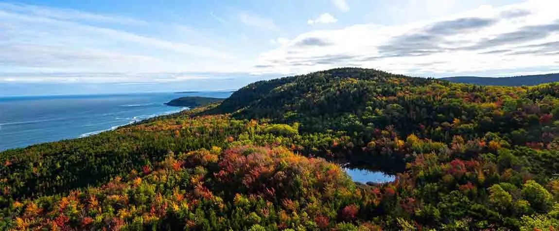 Acadia National Park, Maine - Wildlife Spotting