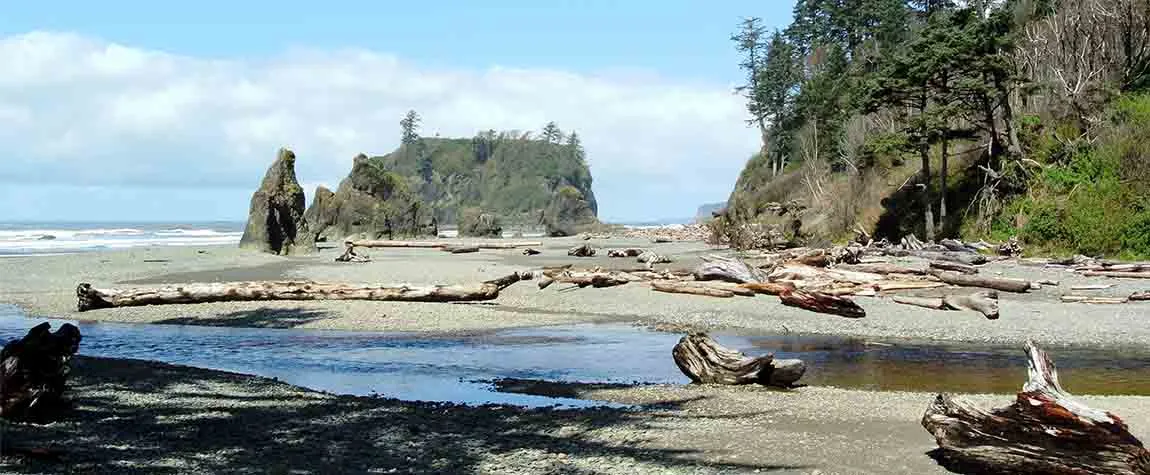 Olympic National Park, Washington - Wildlife Spotting