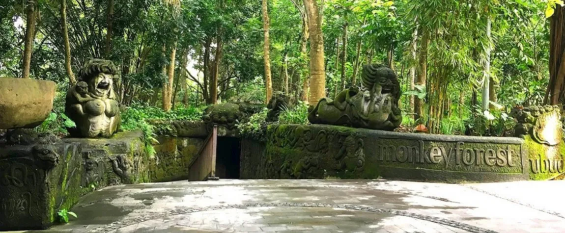 Ubud Monkey Forest - Attractions Places