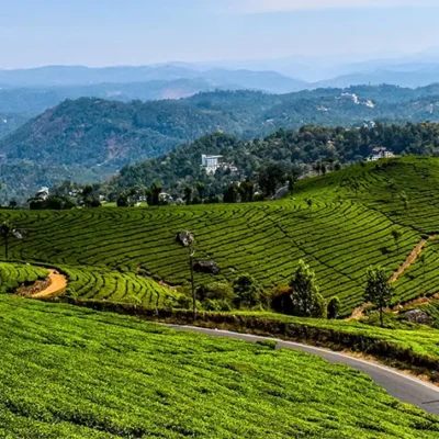 Top 10 beautiful hill stations in Munnar