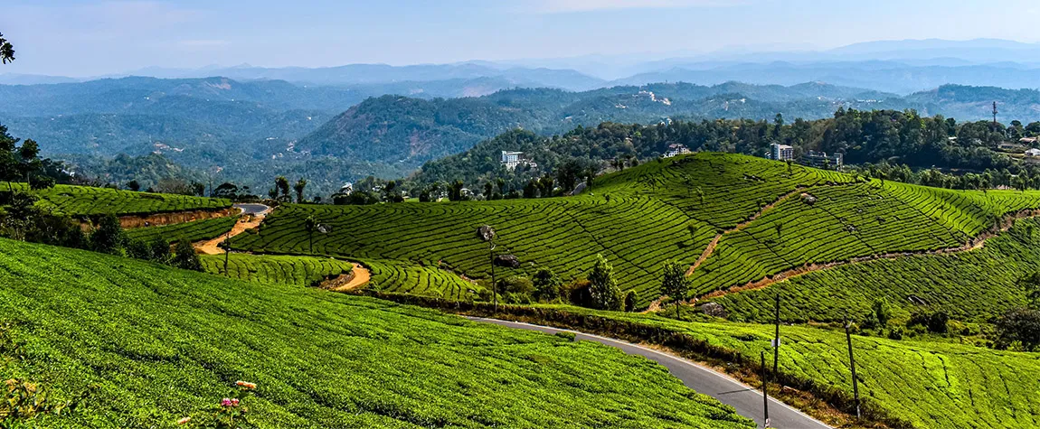 Top 10 beautiful hill stations in Munnar