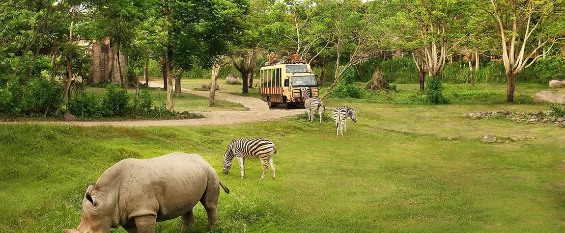 Safari Journey