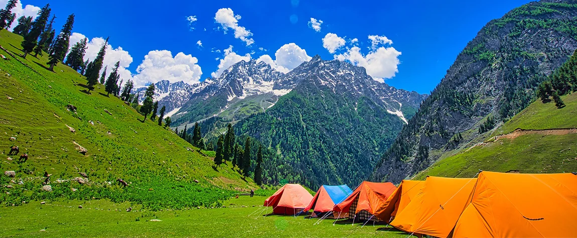 Camping - Aru Valley