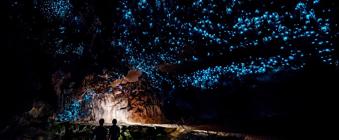Exploring the Waitomo Glowworm Caves