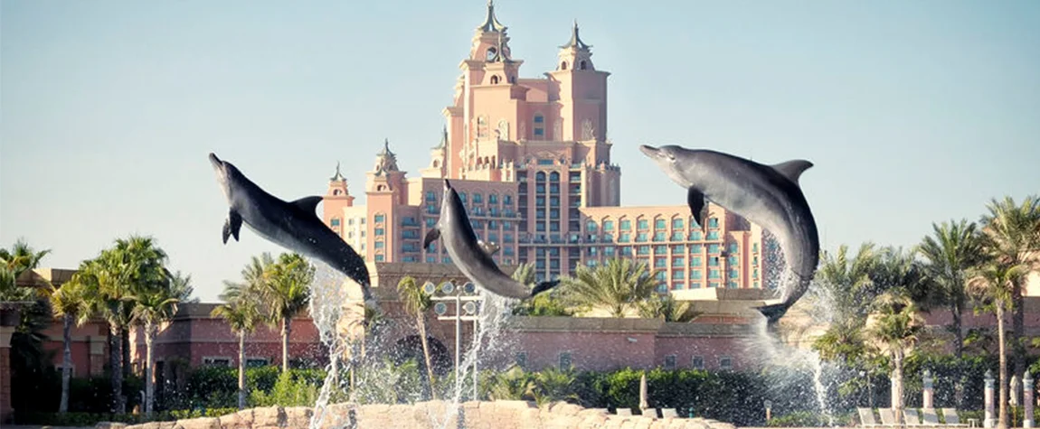 Dolphin Bay - Palm Dubai