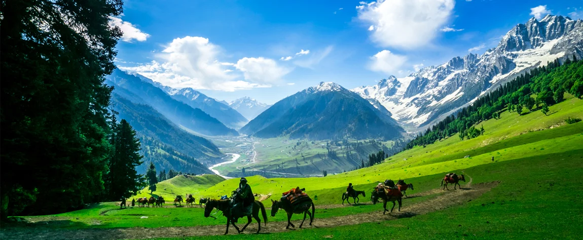 Horse Riding - Aru Valley