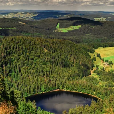 The Interesting Facts you need to know about Black Forest in Germany