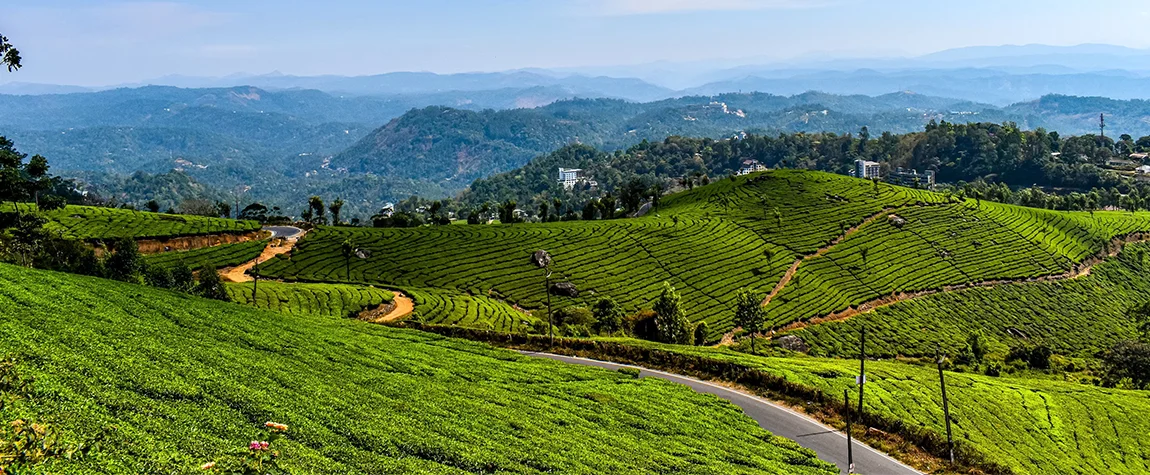 The Most Popular hill station and mountain peaks in Munnar