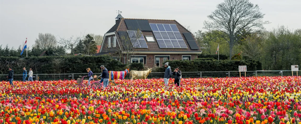 Interactive Gardens and Workshops - Floriworld Aalsmeer