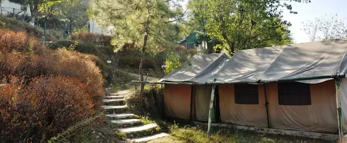 Camp Chrysalid Shimla