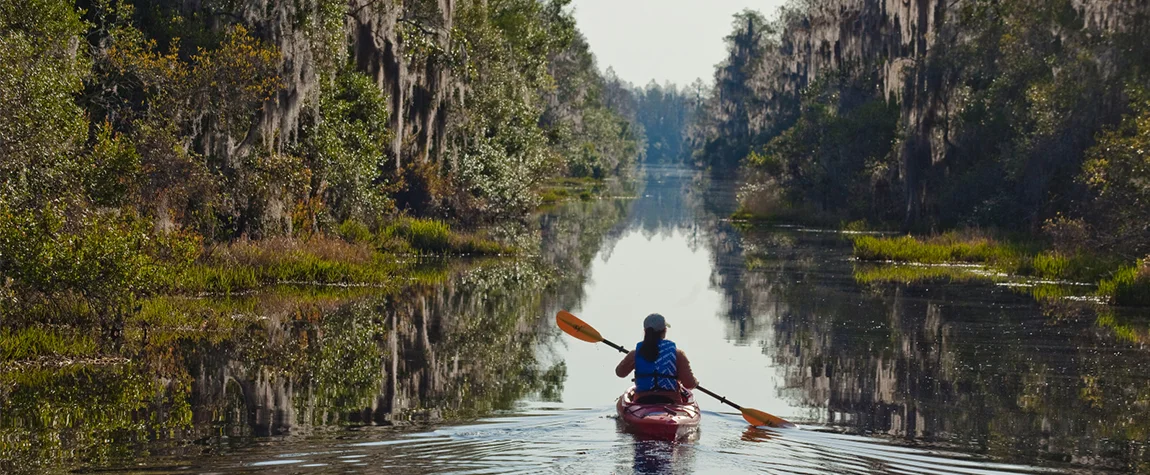 Kayaking on the Okefenokee Swamp