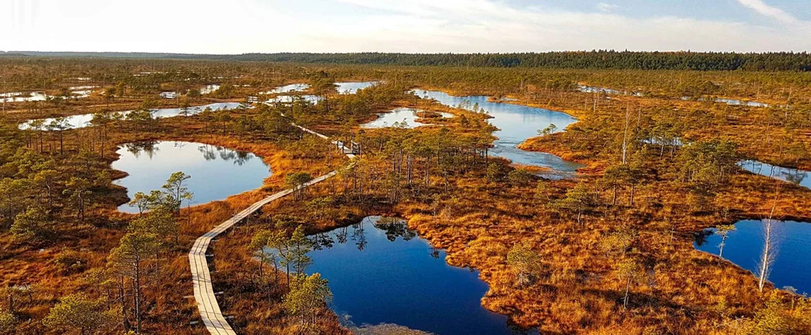 Kemeri National Park - Latvia