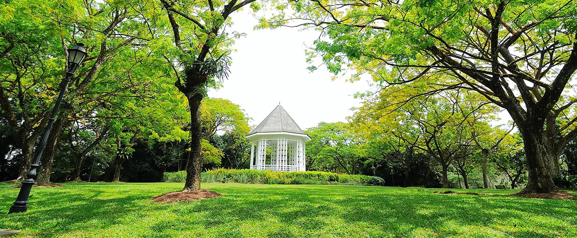 Singapore Botanic Gardens - fantastic places