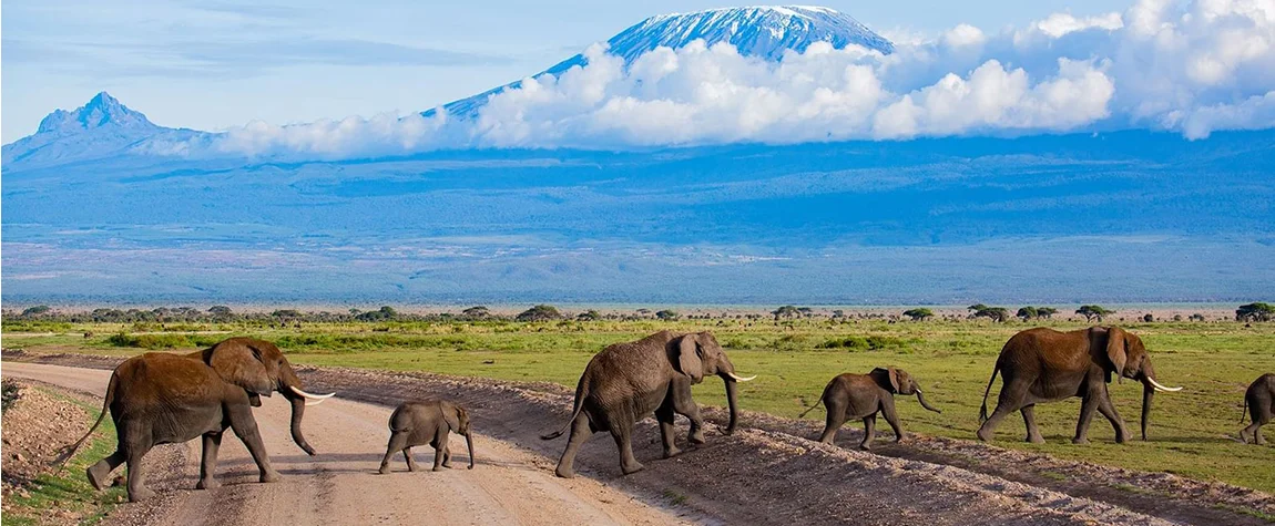 Amboseli National Park - adventurous Retreat