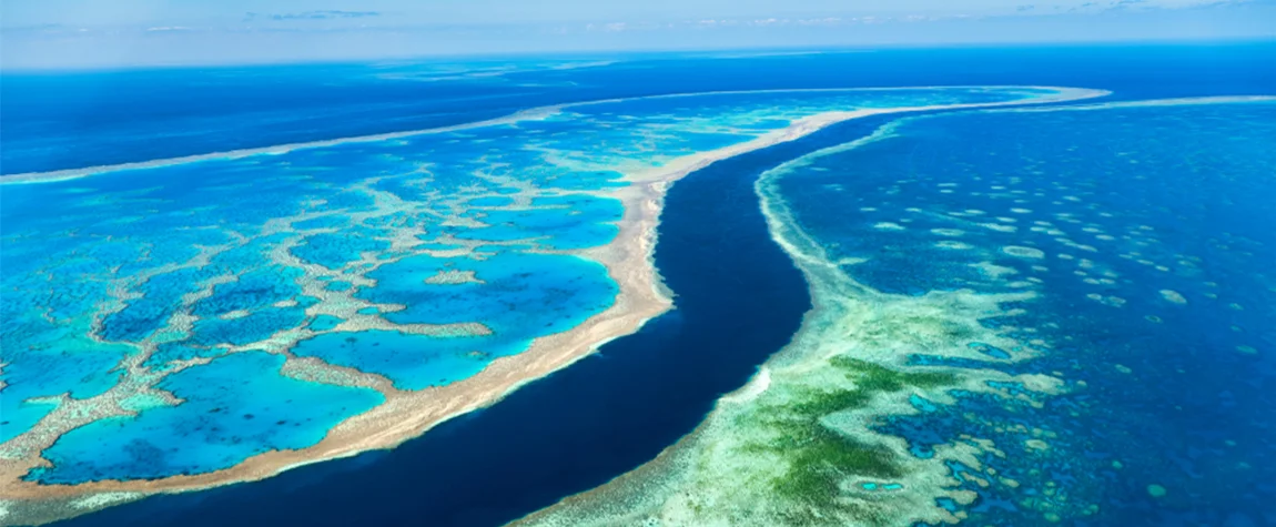 Explore the Great Barrier Reef