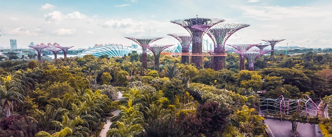 Gardens by the Bay - OCBC Skyway