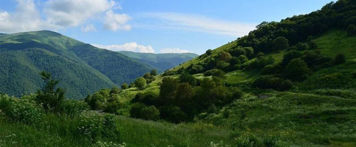 Hike and Unwind in the Serene Dilijan National Park