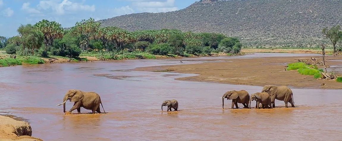 Samburu National Reserve - adventurous Retreat
