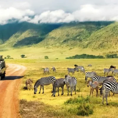 The 5 Best Places to Go on Safari in Tanzania