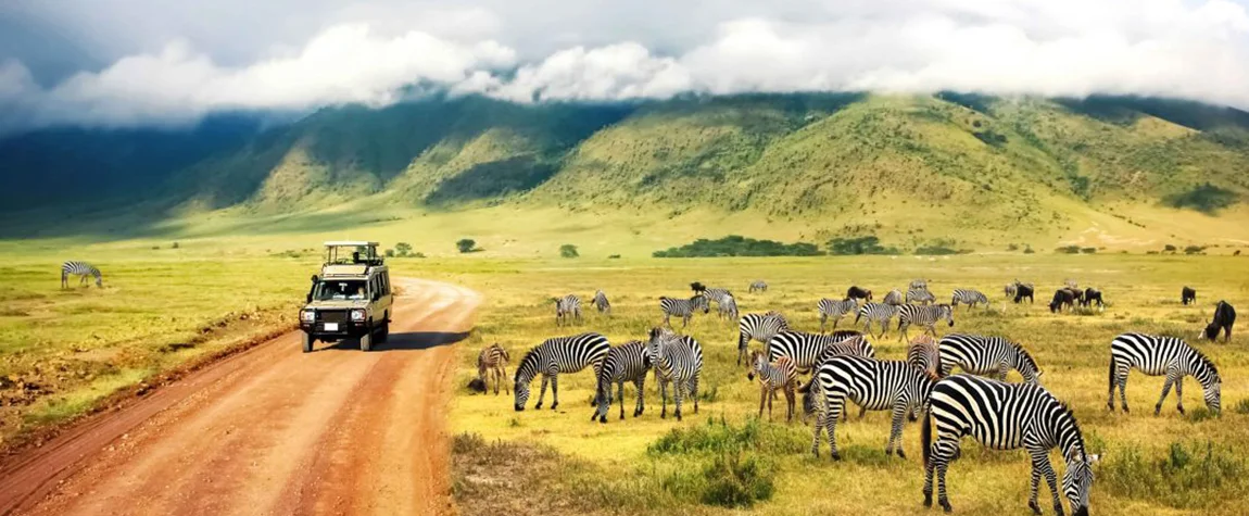 The 5 Best Places to Go on Safari in Tanzania