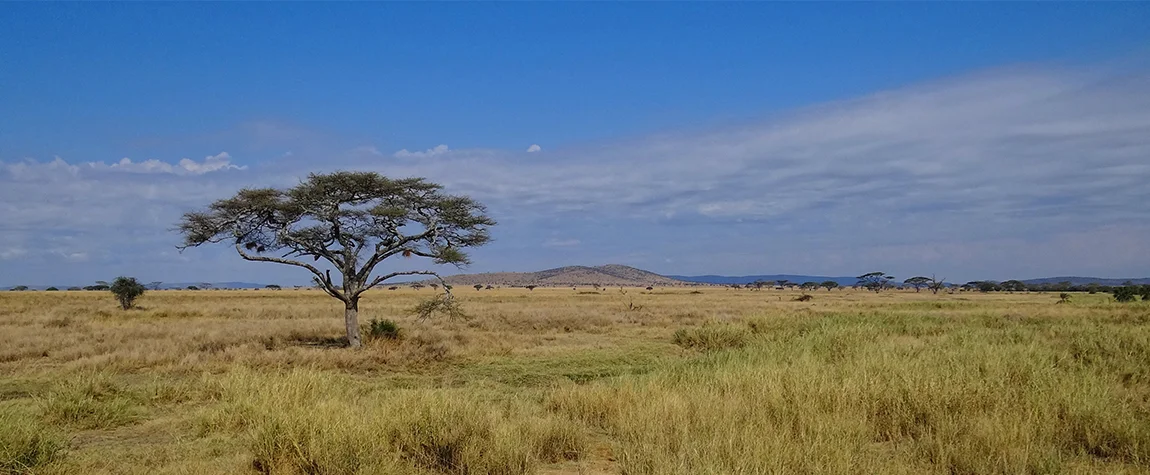 Serengeti National Park