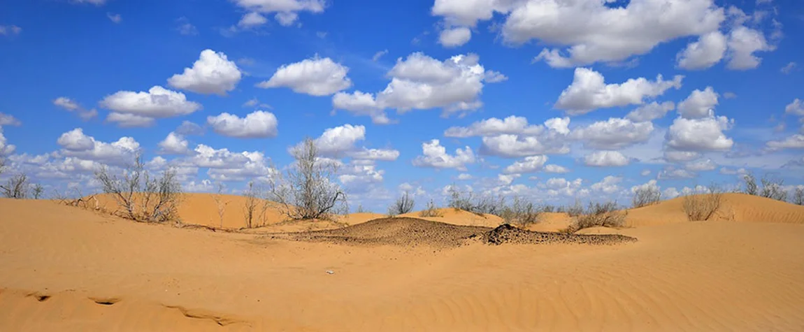 Exploring the Kyzylkum Desert - Things to Do in Uzbekistan