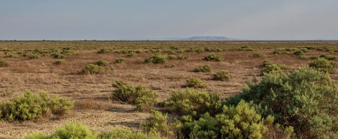 Shirvan National Park - Attractions to Visit in Azerbaijan